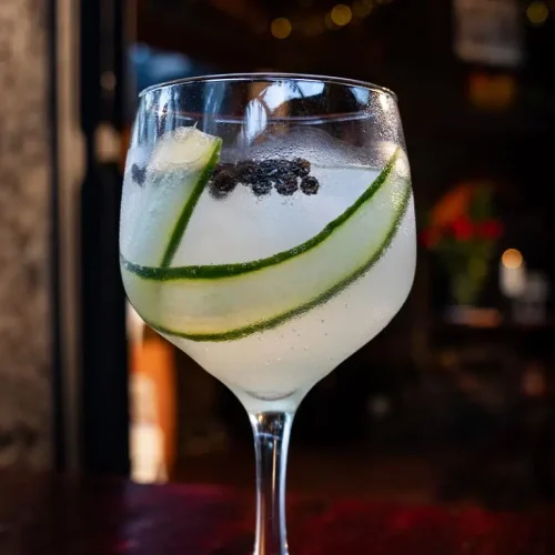 Coctel Gin & tonic