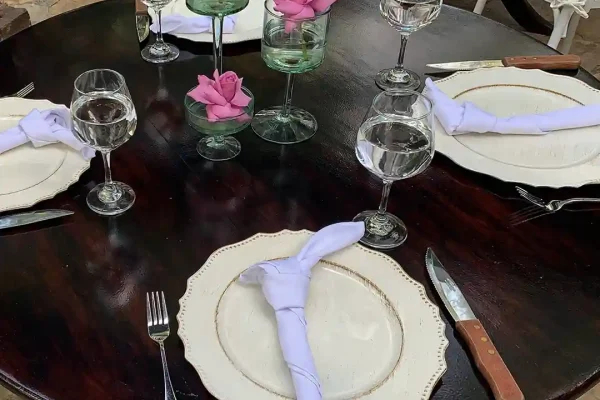 menaje_premium